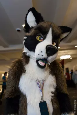 IMG_2745-lr19t.jpg of ANE/ANE2022/