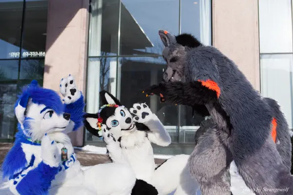 IMG_0108-lr19t.jpg of NFC/NFC2018/