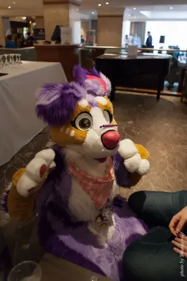 IMG_7538-lr16t.jpg of CFZ/CFZ2016/