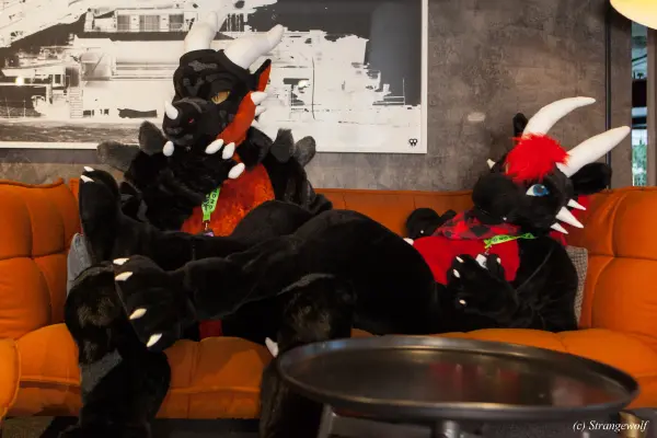 IMG_8936-lr19t.jpg of NFC/NFC2020/