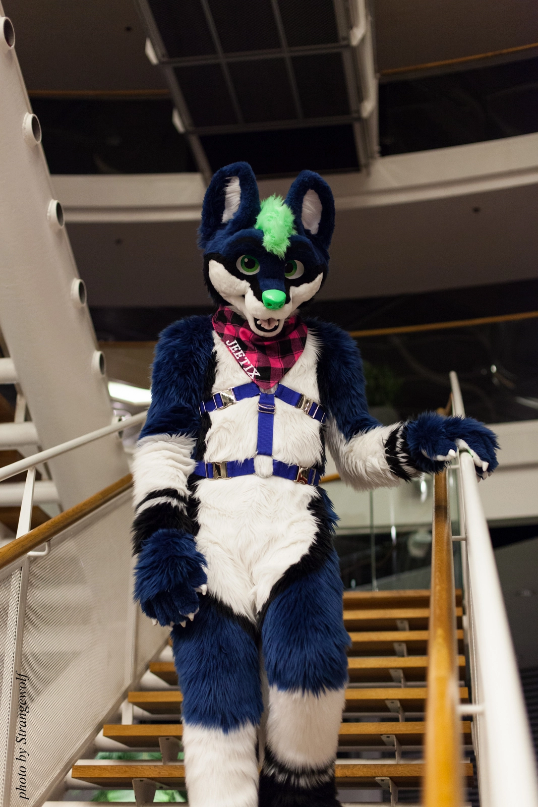 full image IMG_1907-lr16t.jpg