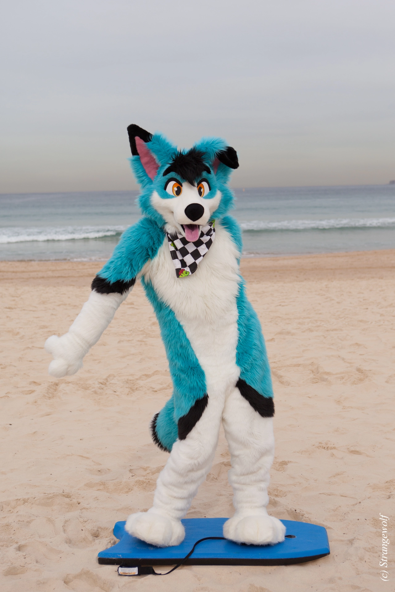 full image IMG_4495-lr19t.jpg