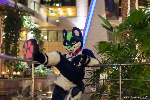 IMG_1874-lr16t.jpg of NFC/NFC2017/