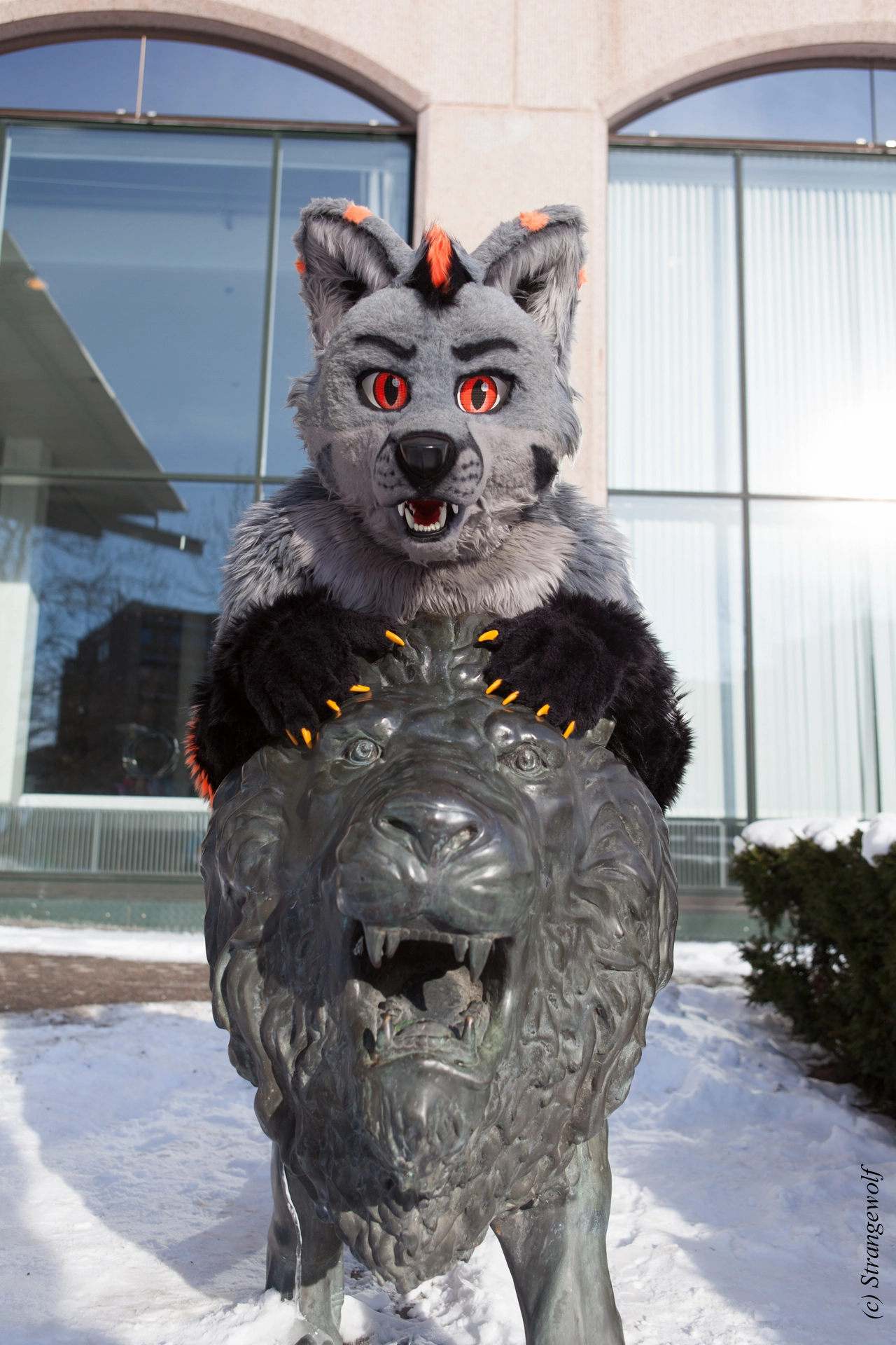 full image IMG_9708-lr19t.jpg