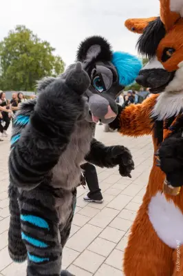 1R3A9090-lr19t.jpg of EF/EF29/