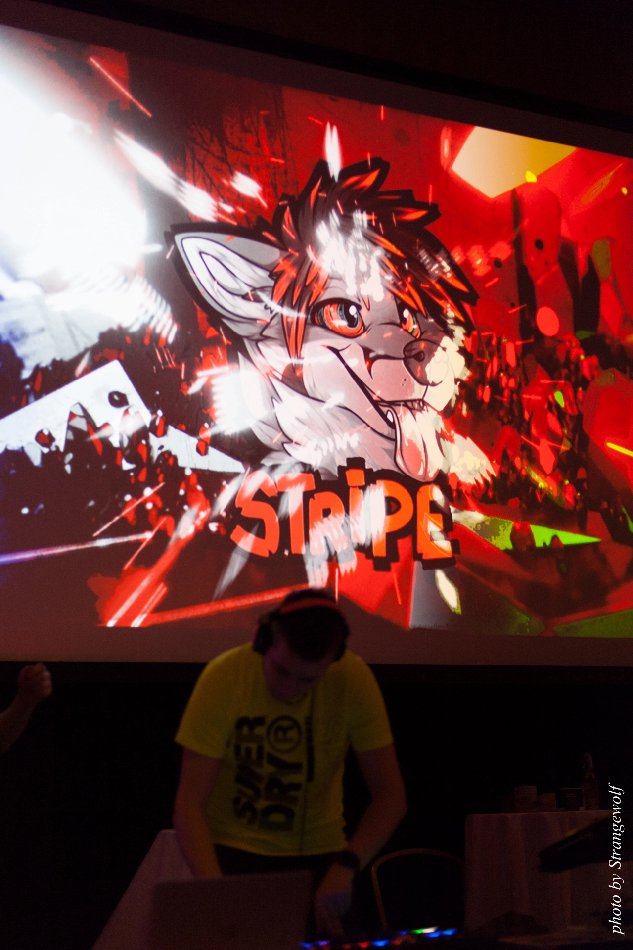 full image IMG_0241-lr19t.jpg