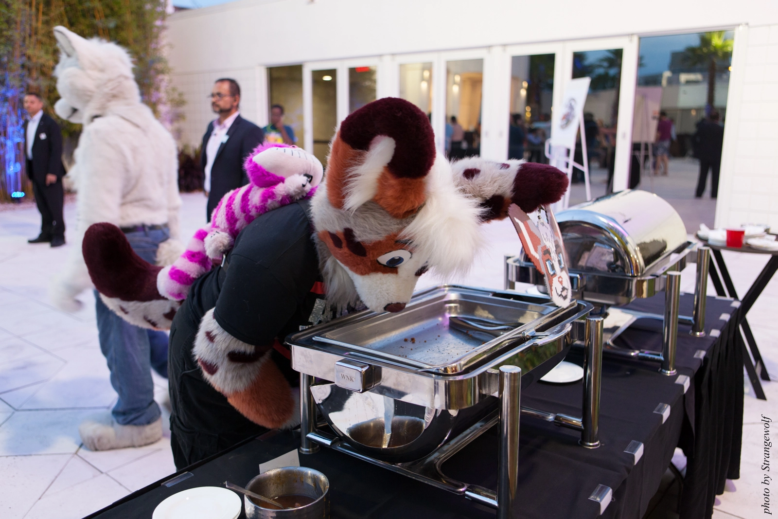 full image IMG_8401-lr16t.jpg