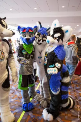IMG_8385-lr19t.jpg of MFF/MFF2017/