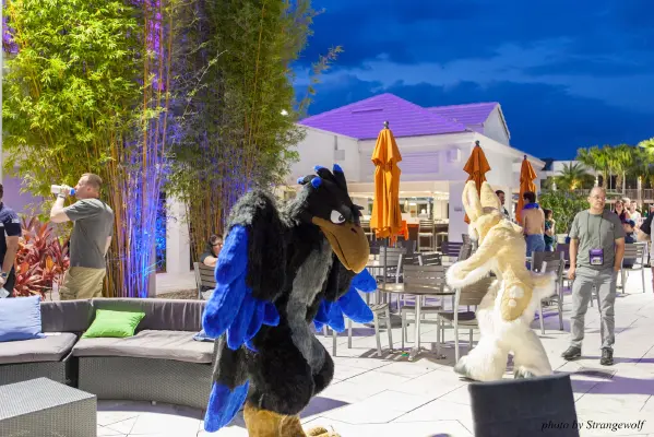 IMG_8483-lr16t.jpg of ESG/ESG2015/