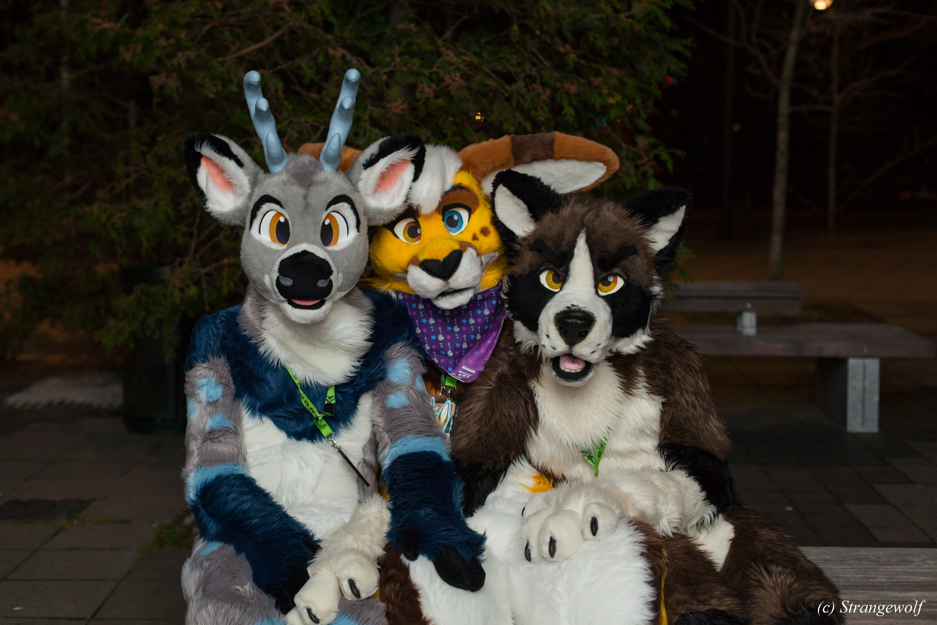 full image IMG_9398-lr19t.jpg