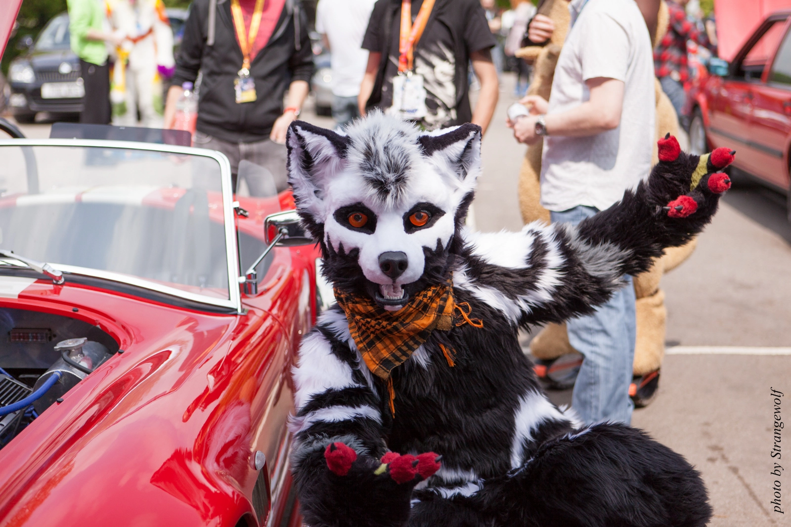 full image IMG_7202-lr16t.jpg