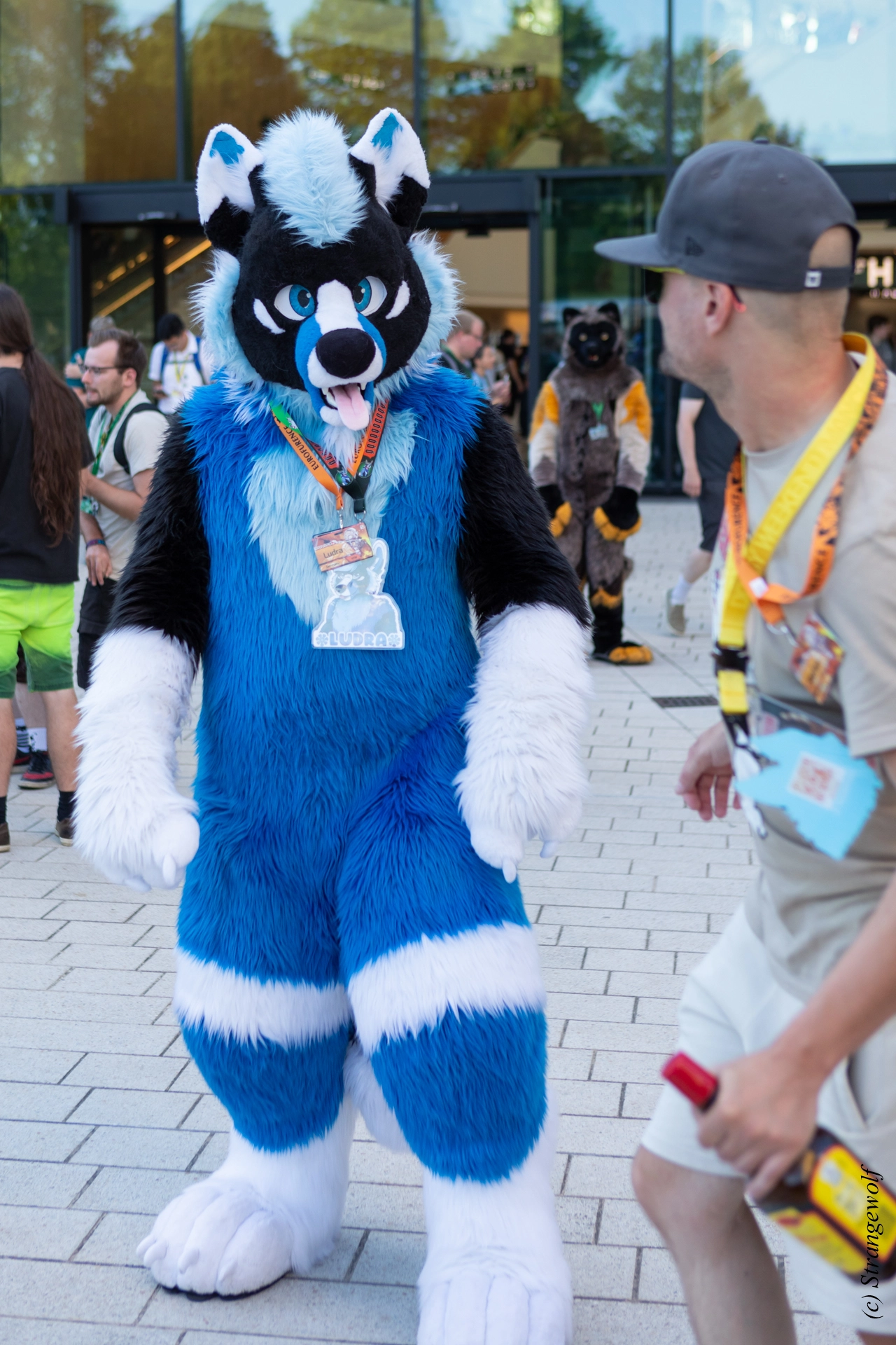 full image 1R3A9311-lr19t.jpg