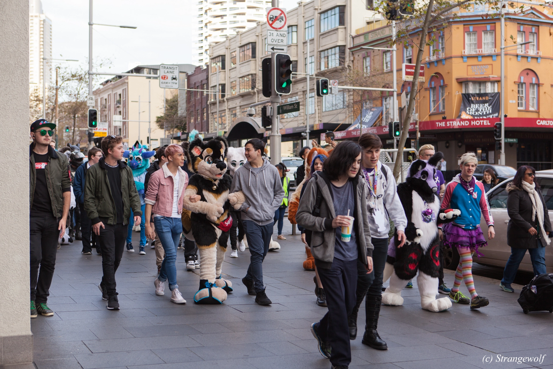 full image IMG_4605-lr19t.jpg