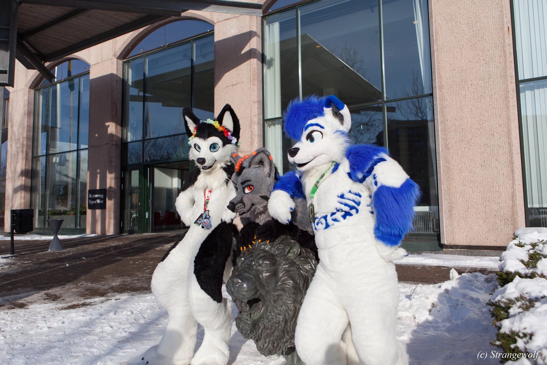 full image IMG_9681-lr19t.jpg