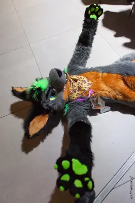 IMG_4842-lr19t.jpg of EF/EF24/