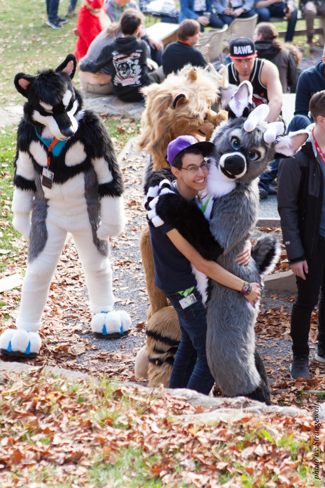 full image IMG_7859-lr19t.jpg