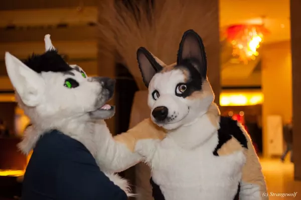 IMG_7156-lr19t.jpg of MFF/MFF2018/
