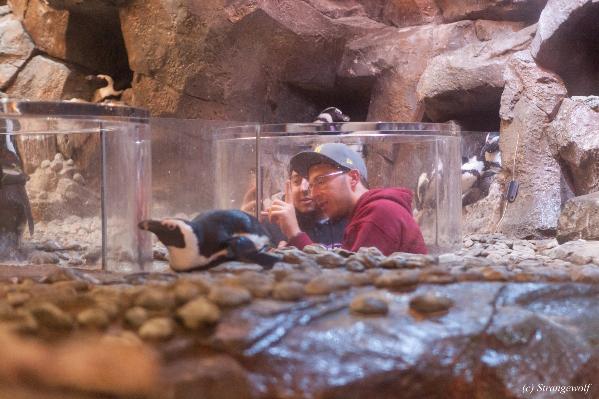 full image IMG_2201-lr19t.jpg