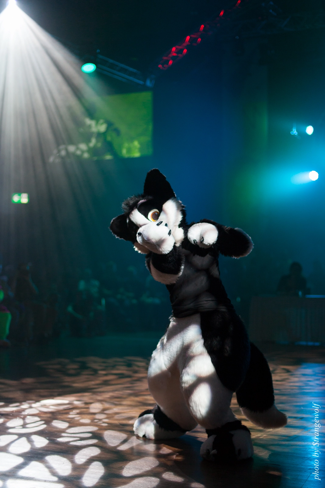 full image IMG_9548-lr16t.jpg