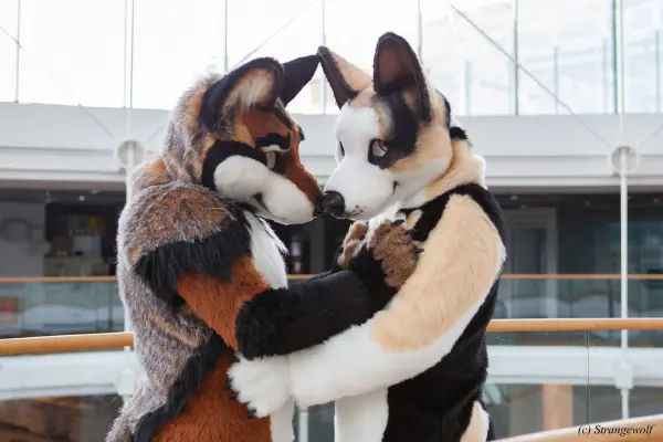 IMG_0483-lr19t.jpg of NFC/NFC2018/