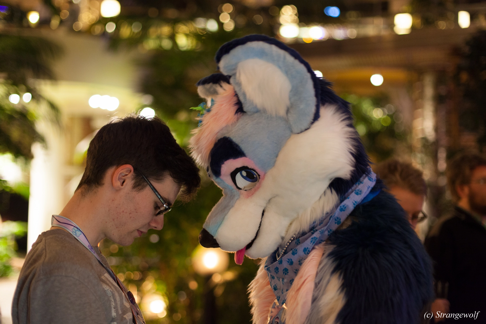 full image IMG_9709-lr19t.jpg