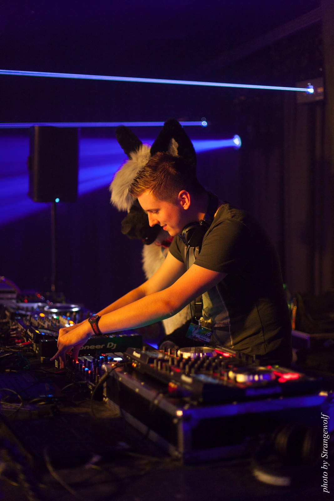 full image IMG_8752-lr16t.jpg