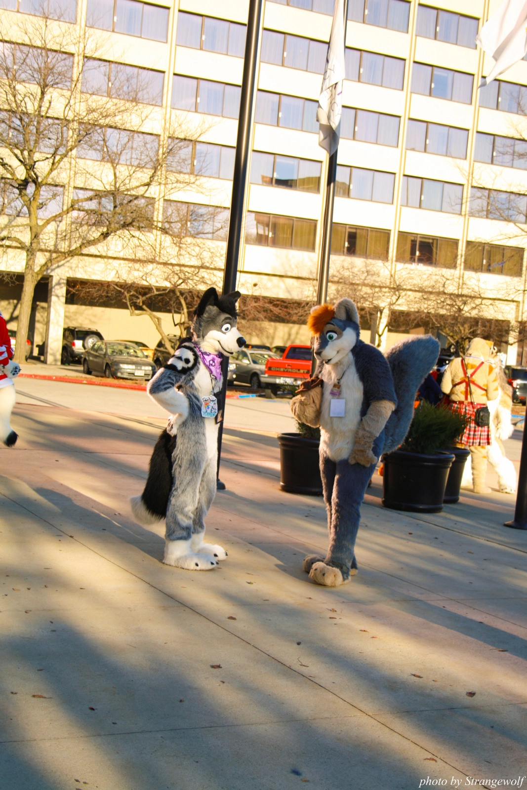 full image IMG_0734-lr.jpg
