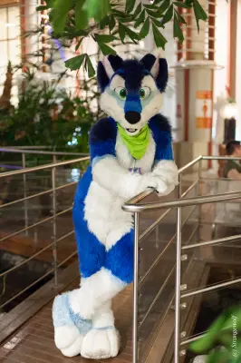 IMG_9017-lr19t.jpg of NFC/NFC2019/Shoot-Defus/