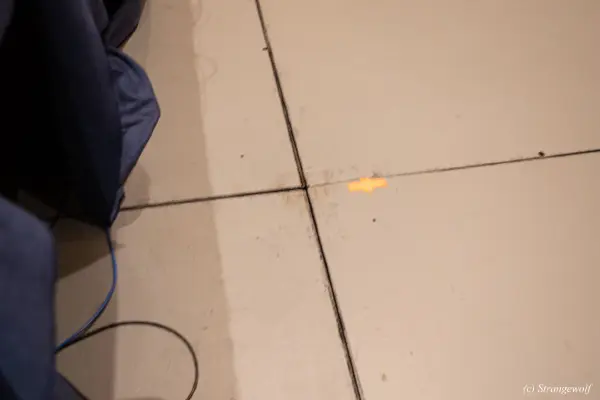 1R3A0318-lr19t.jpg of MFF/MFF2025/