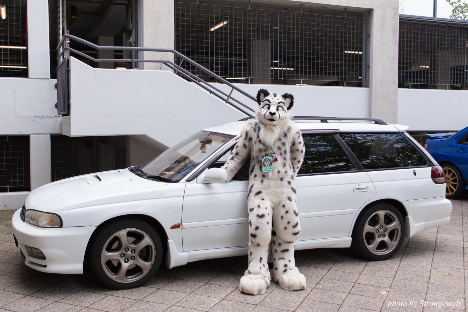 full image IMG_0084-lr16t.jpg