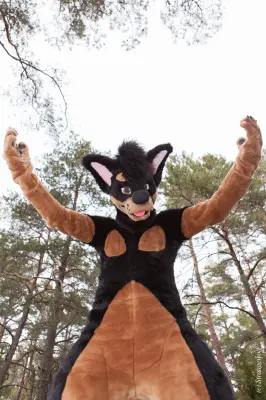 IMG_8591-lr19t.jpg of NFC/NFC2019/Shoot-Strife_Carlito/