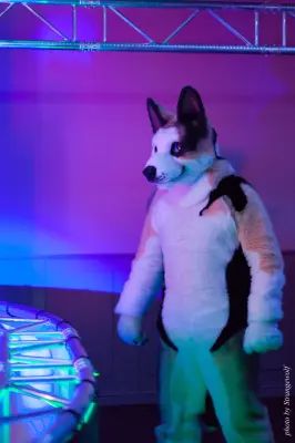 IMG_5477-lr16t.jpg of DFD/DFD2017/