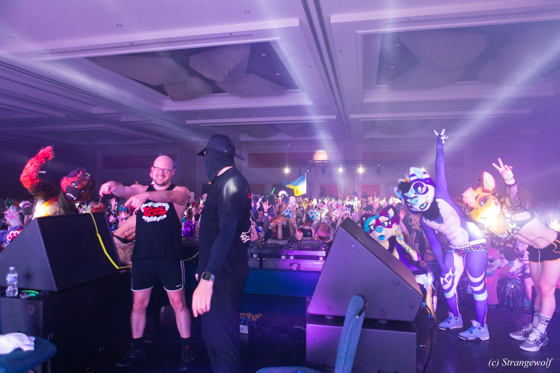 full image 1R3A6844-lr19t.jpg