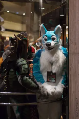 IMG_4266-lr16t.jpg of MFF/MFF2015/