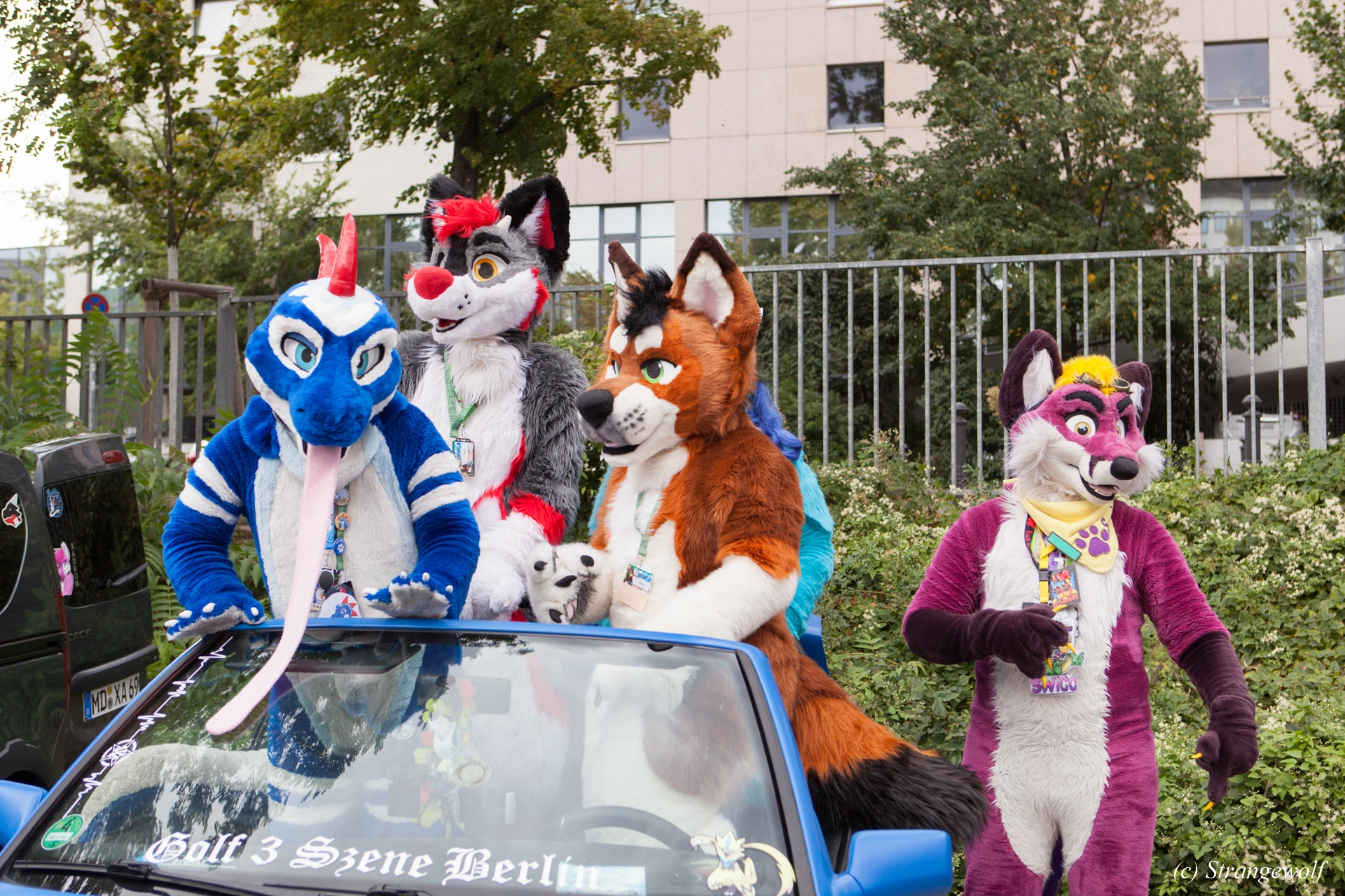 full image IMG_5281-lr19t.jpg