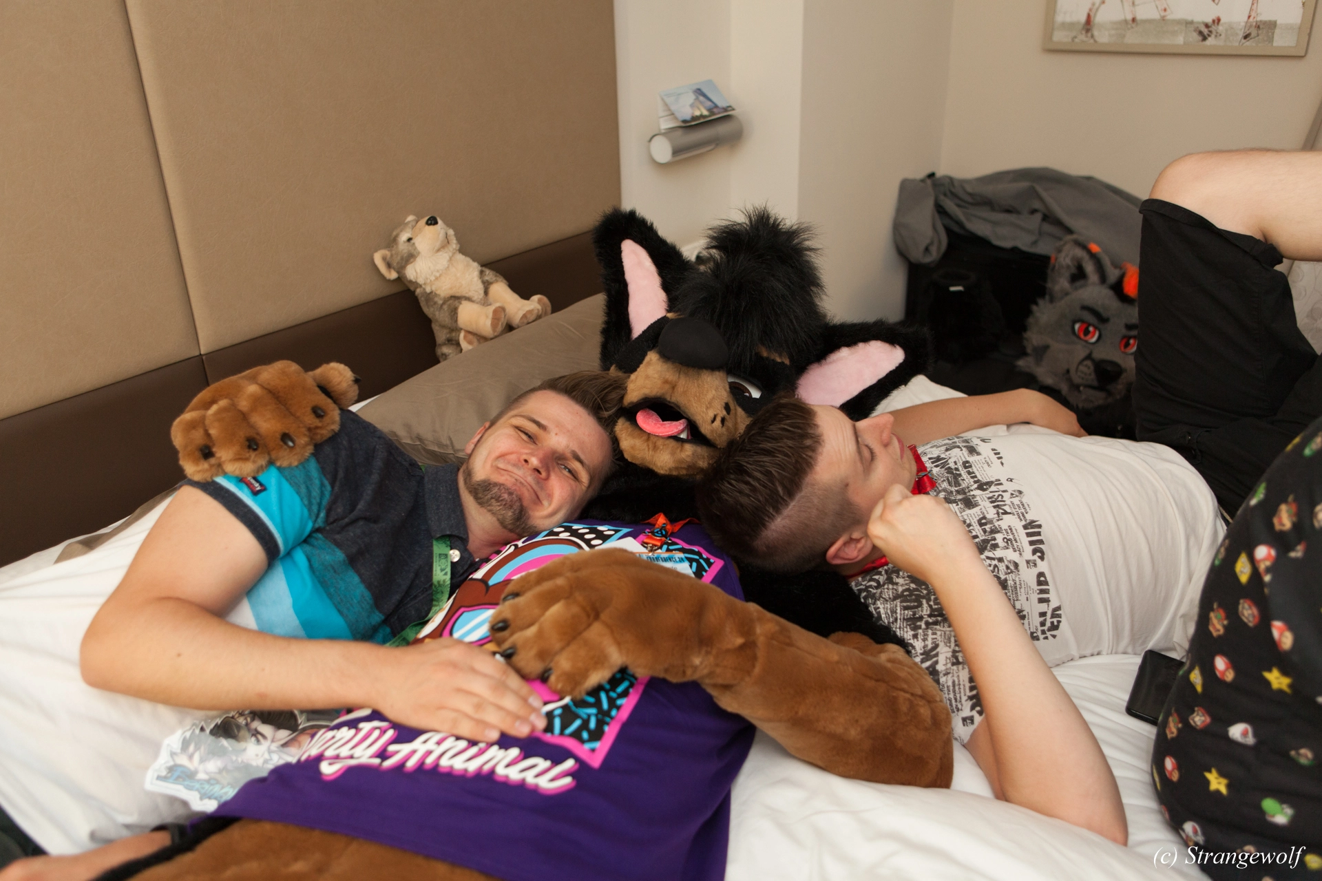 full image IMG_4788-lr19t.jpg