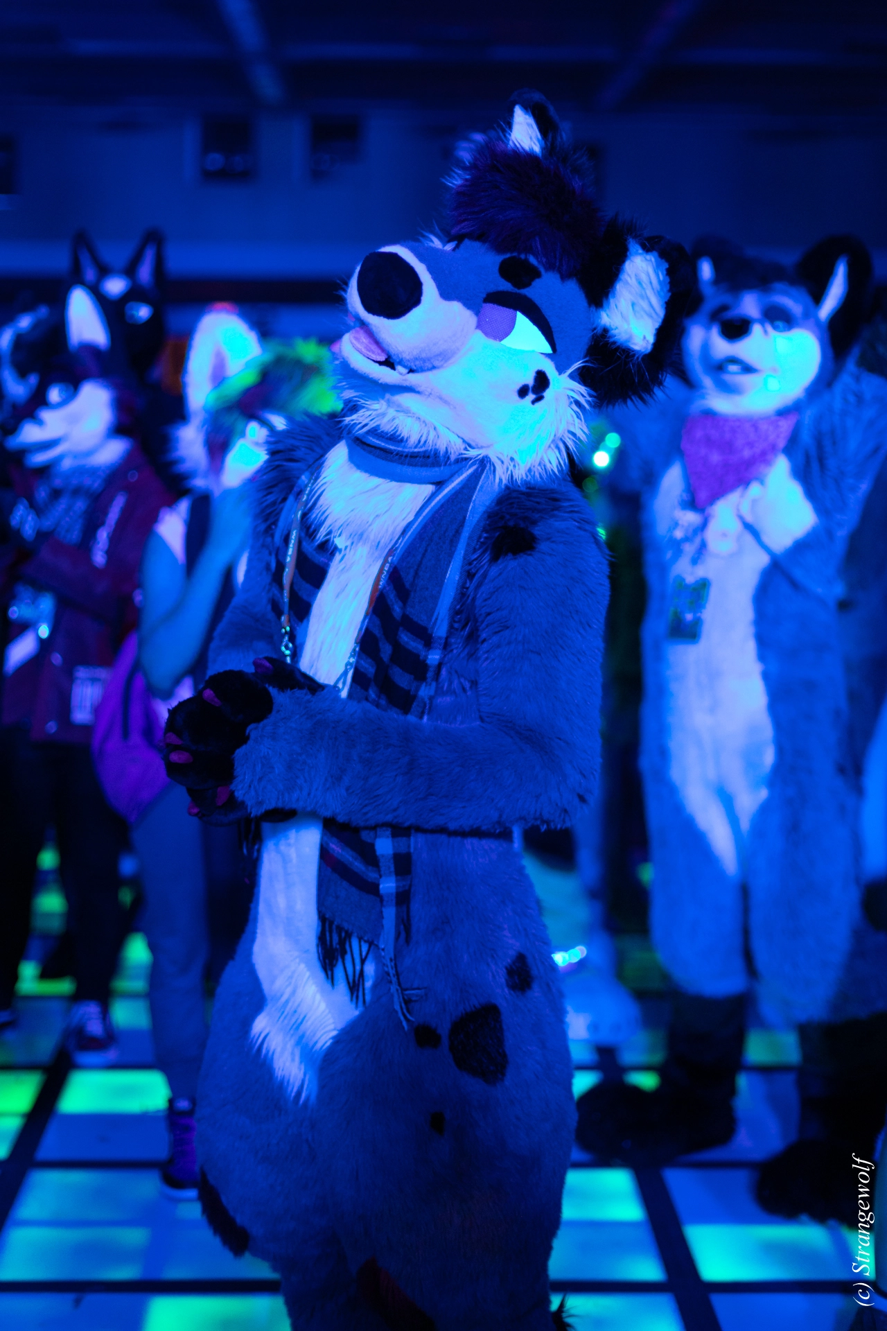 full image 1R3A0751-lr19t.jpg