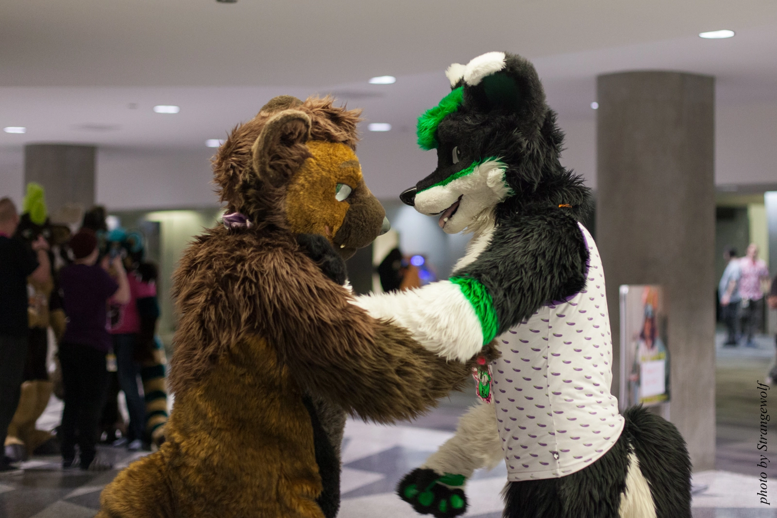 full image IMG_1157-lr16t.jpg