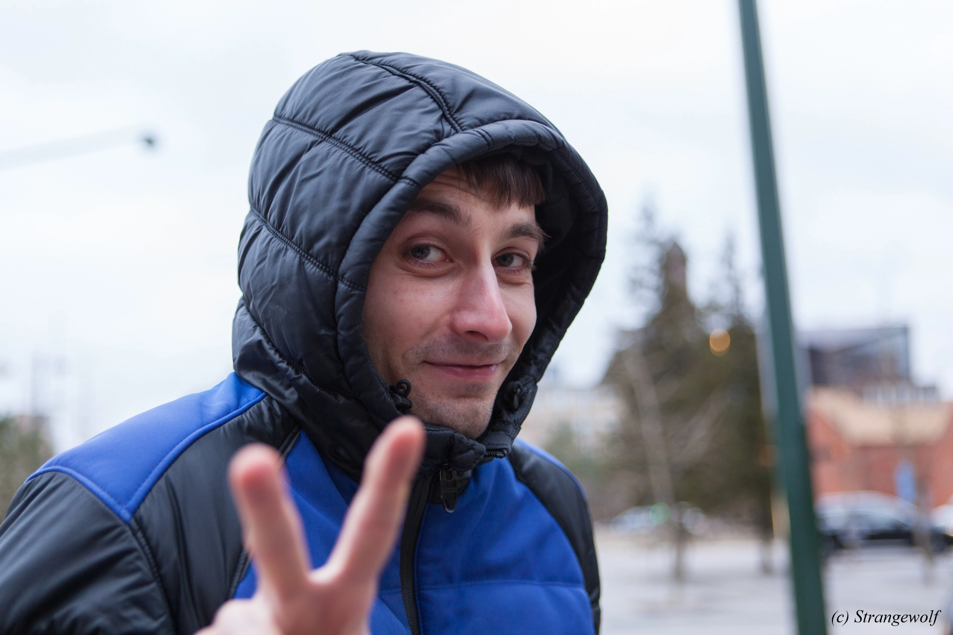 full image IMG_8594-lr19t.jpg