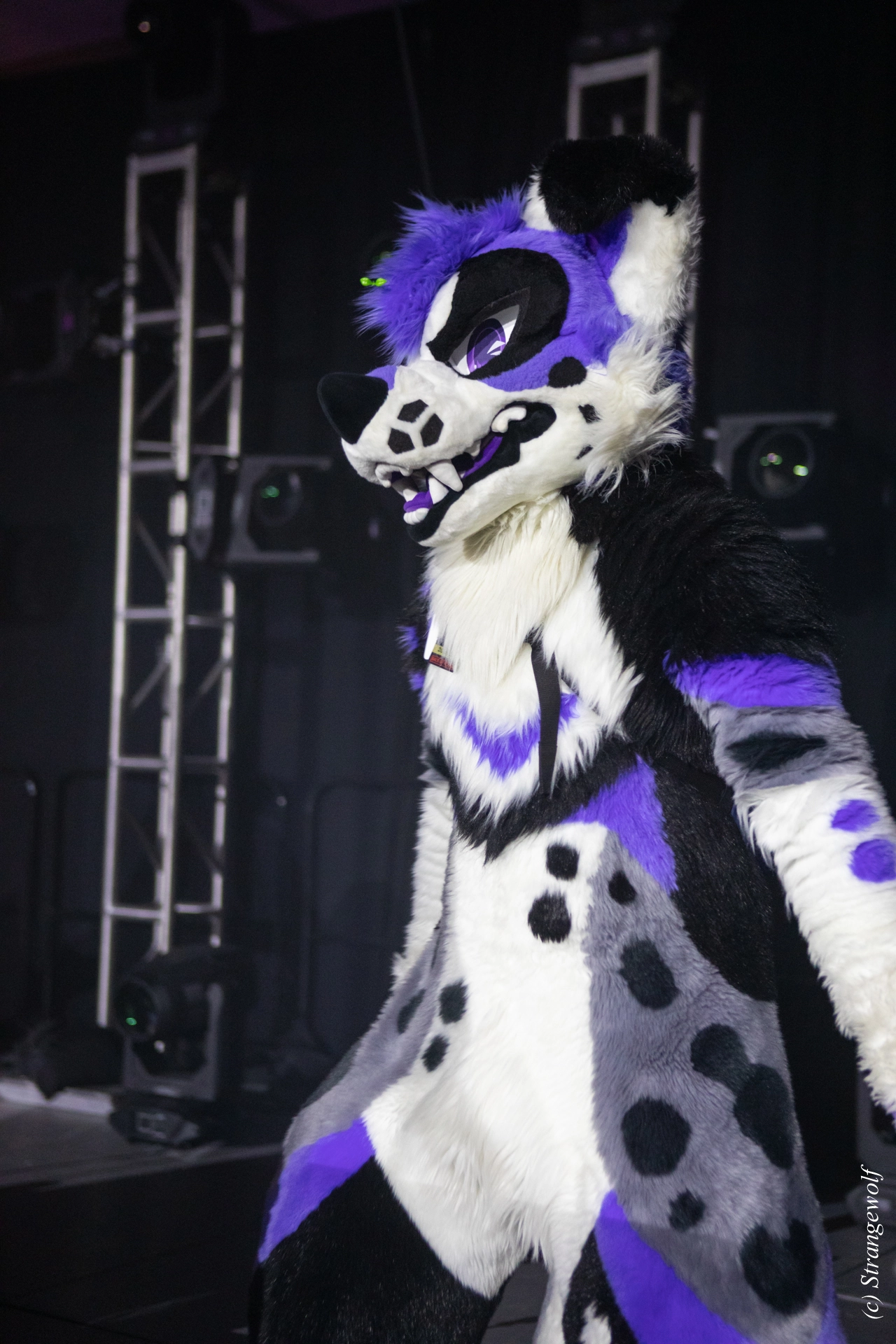 full image 1R3A0861-lr19t.jpg