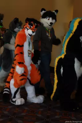 IMG_0508-lr.jpg of MFF/MFF2013/