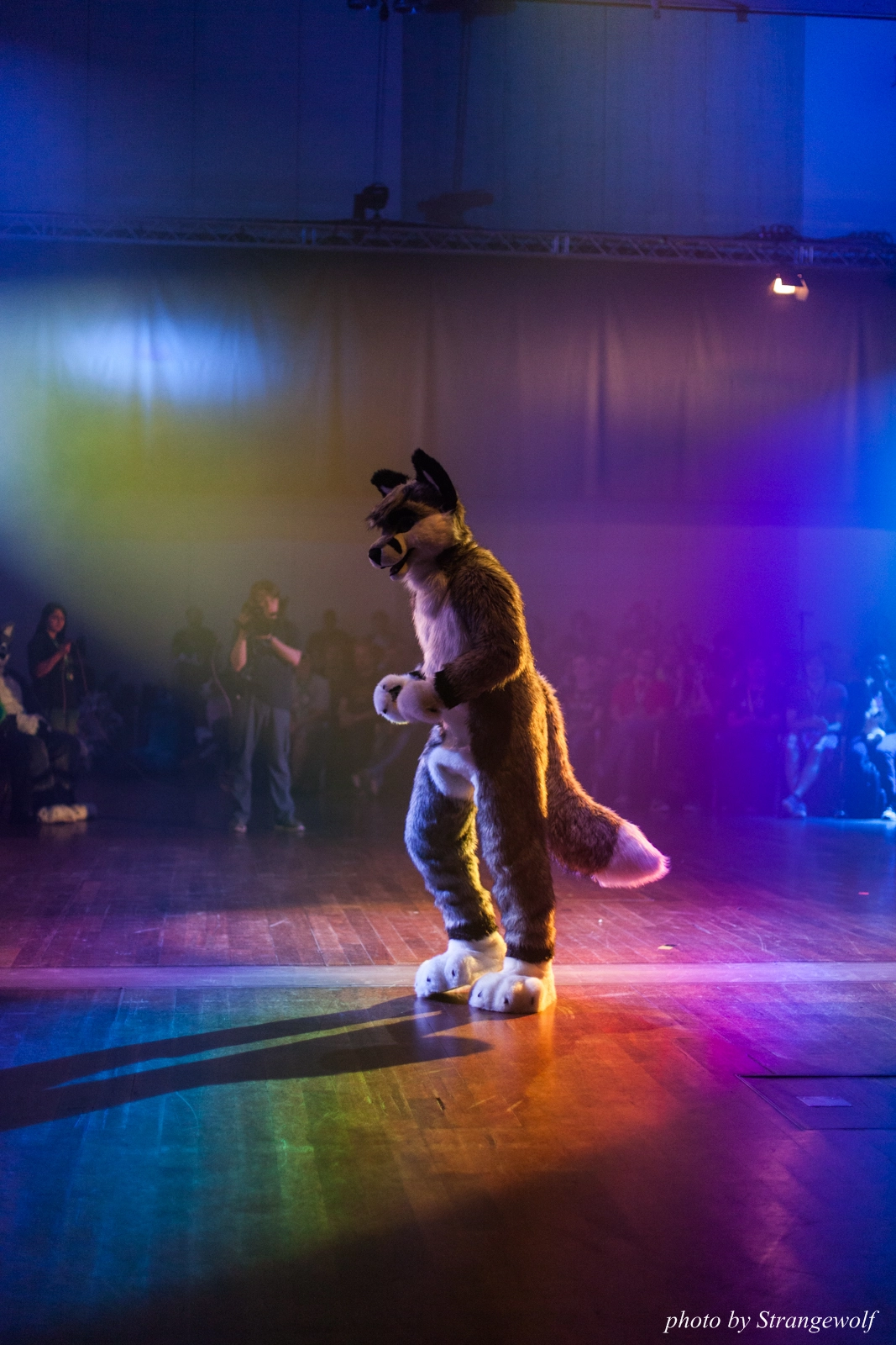 full image IMG_2943-lr16t.jpg