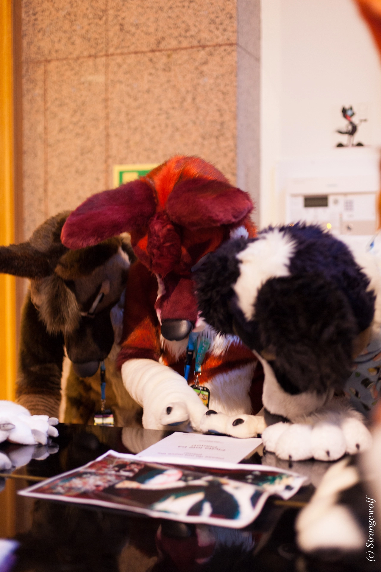 full image IMG_9613-lr19t.jpg