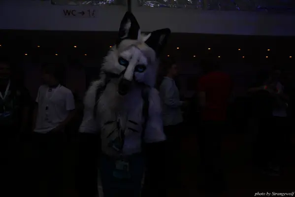 IMG_7517-lr16t.jpg of CFD/CFD13/