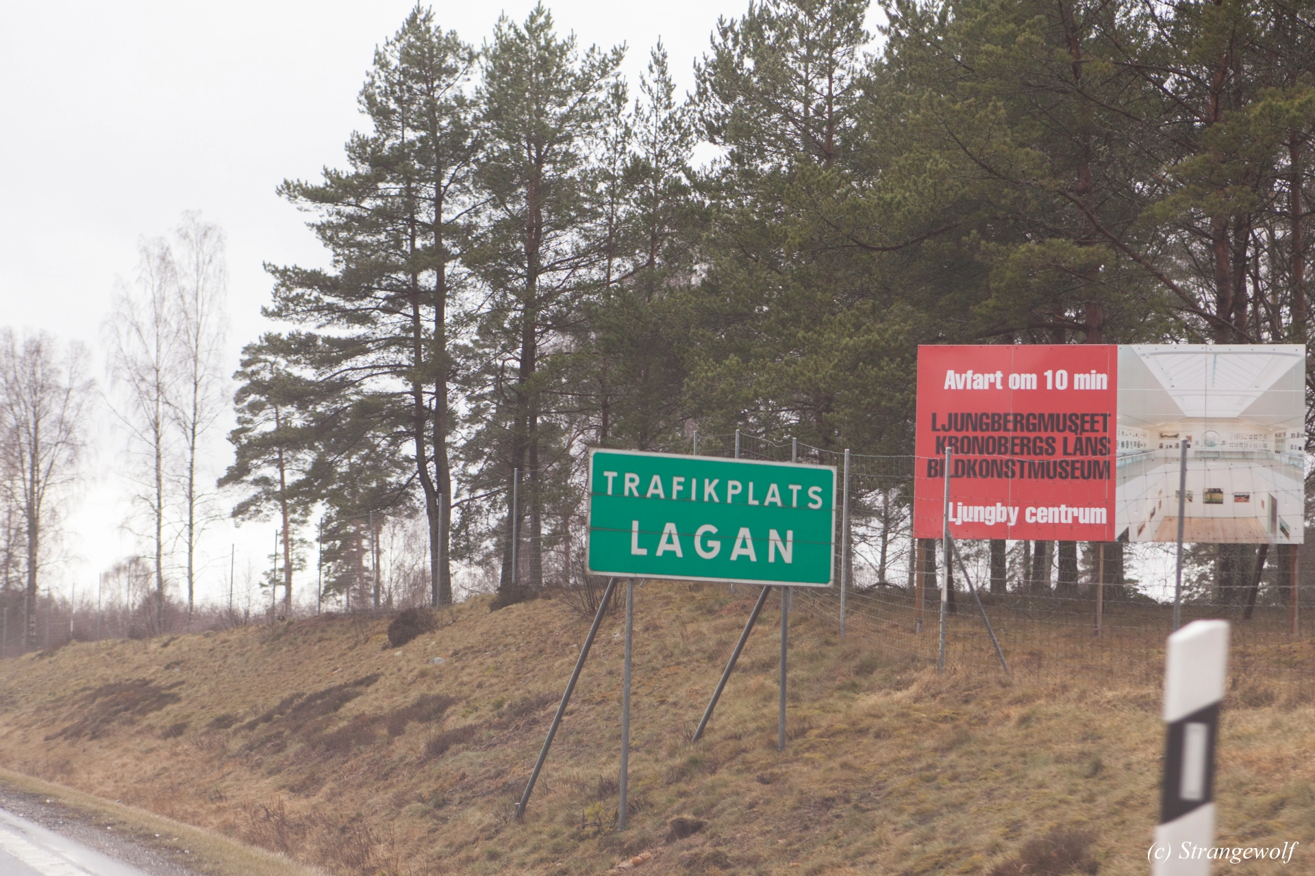 full image IMG_0004-lr19t.jpg