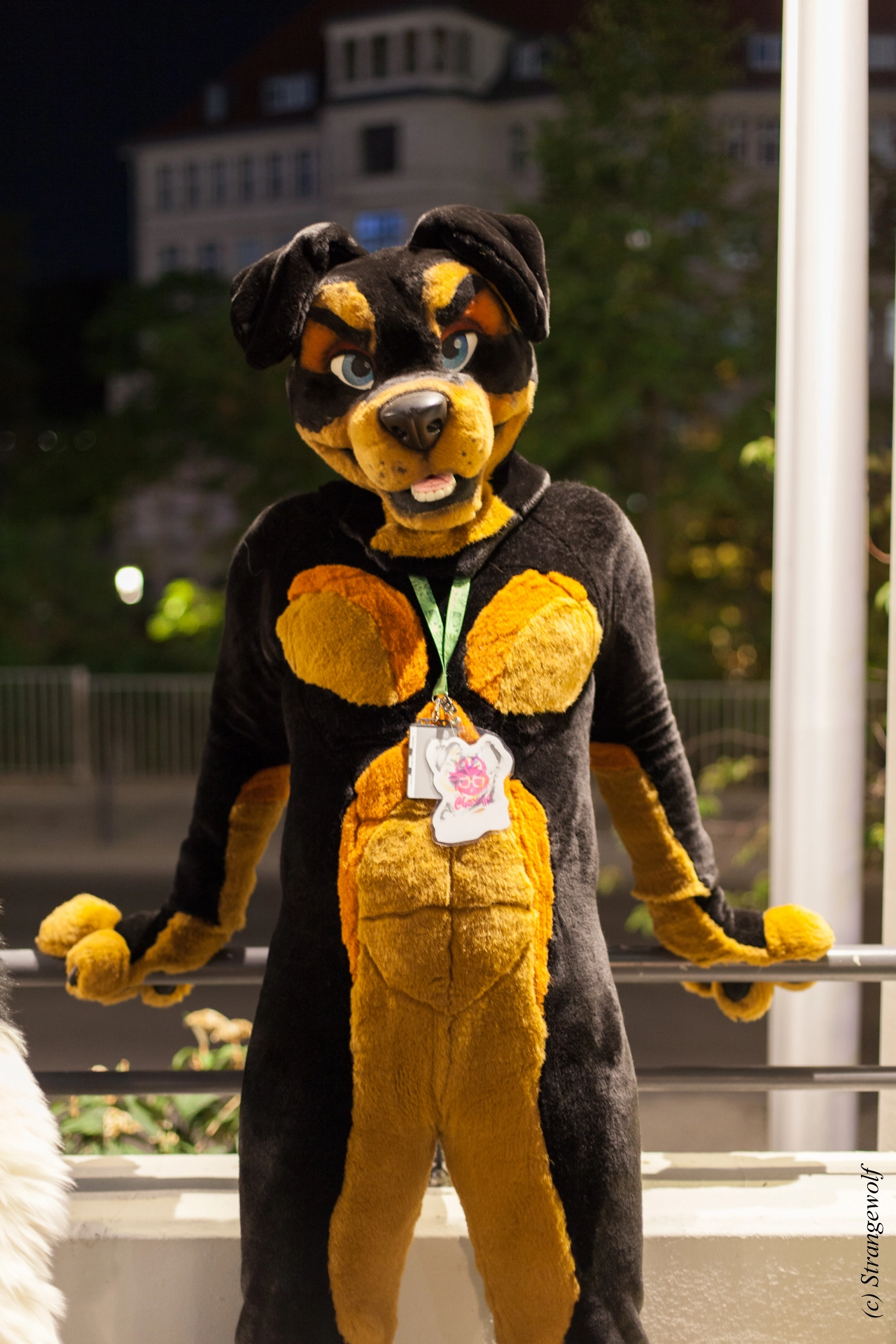 full image IMG_5410-lr19t.jpg