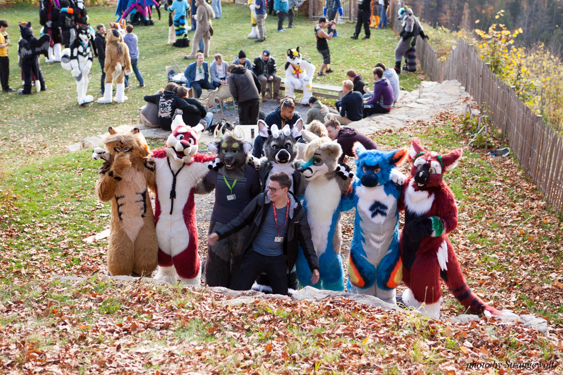 full image IMG_7841-lr19t.jpg