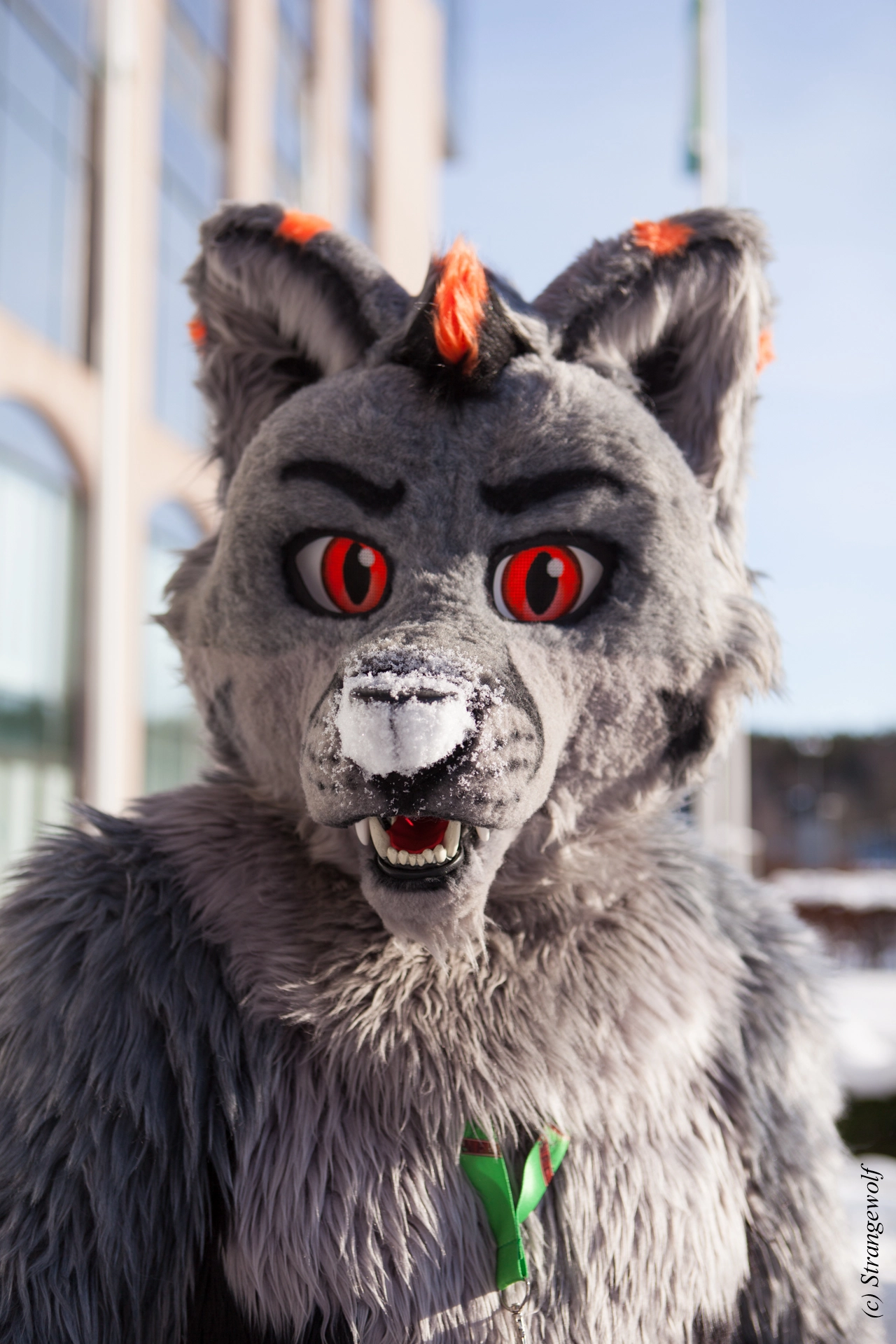 full image IMG_9814-lr19t.jpg