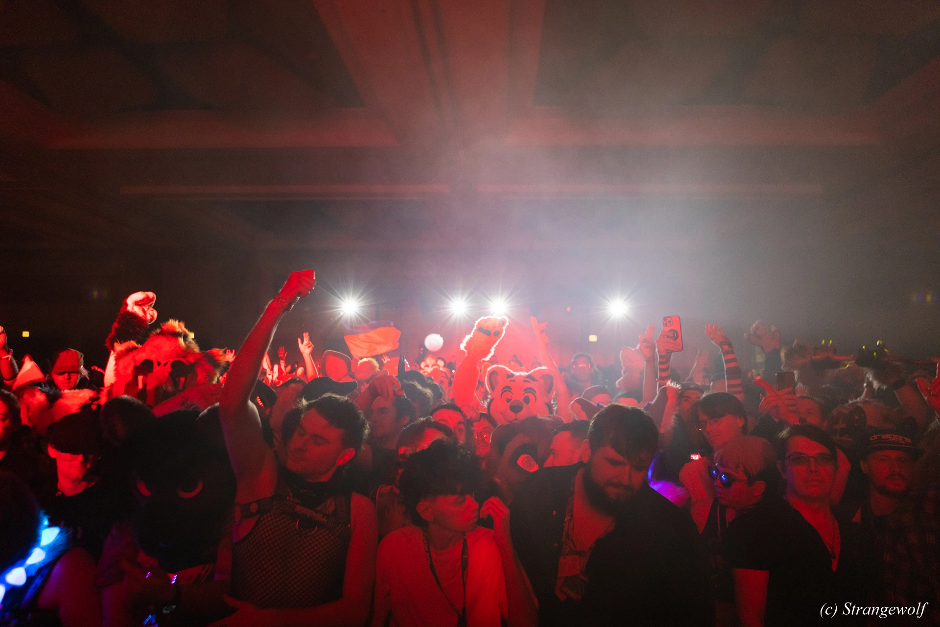 full image 1R3A6825-lr19t.jpg