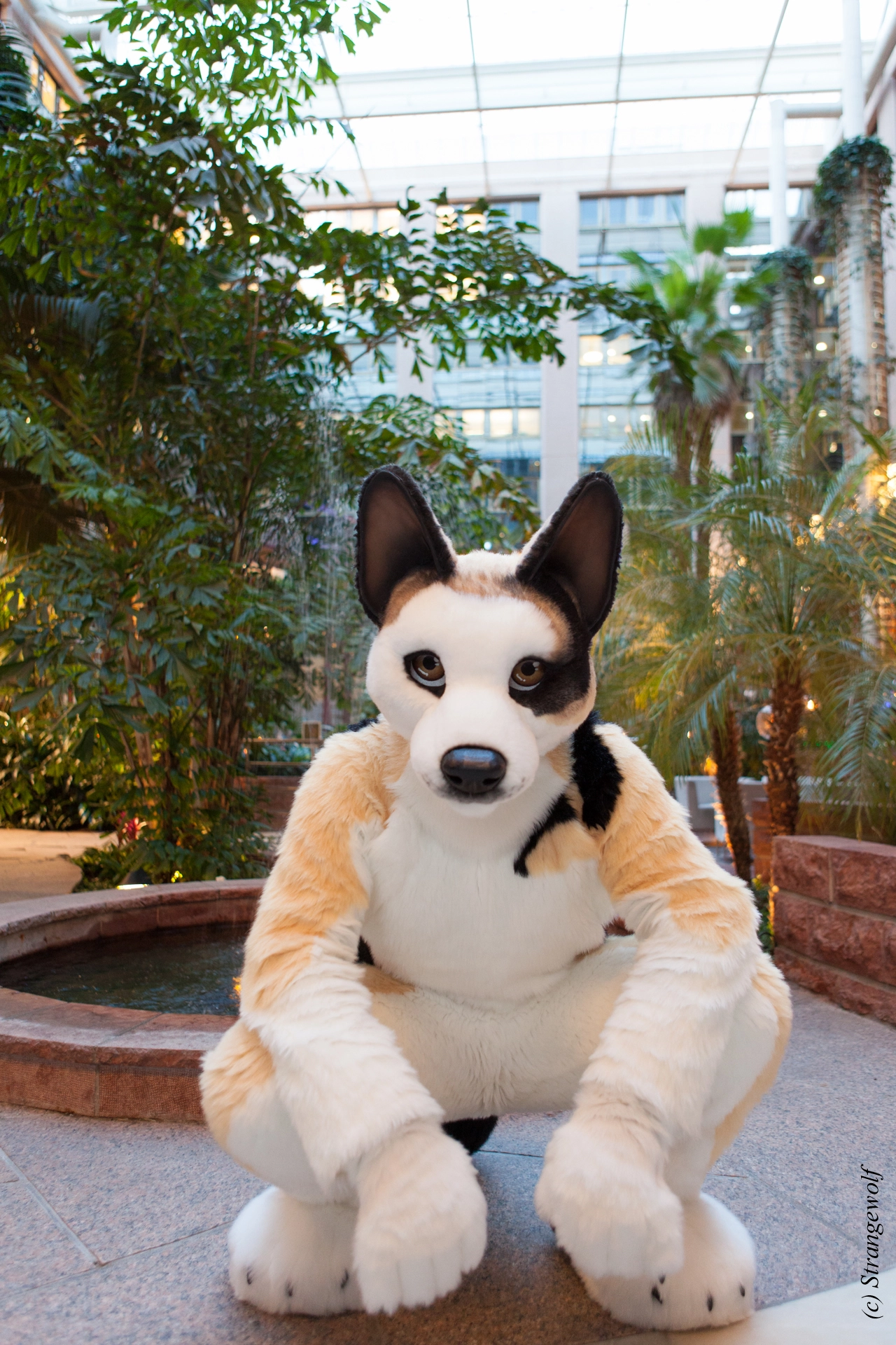 full image IMG_8910-lr19t.jpg